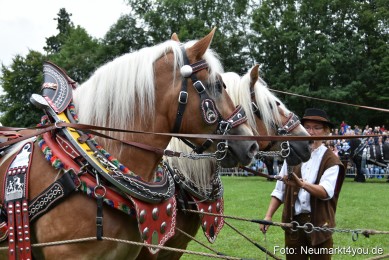 JURA-Volksfest-Pferdeshow-190819-0089