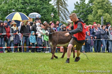 Eselrennen-Fruehlingsfest-2022-0157