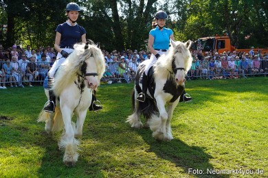 Pferde-und-Fohlenschau-JURA-Volksfest-2023-0109