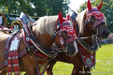 Pferde-und-Fohlenschau-JURA-Volksfest-2023-0209