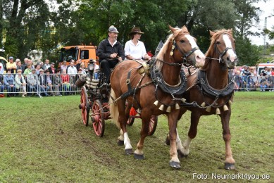 JURA-Volksfest-Pferdeshow-190819-0359