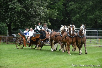 JURA-Volksfest-Pferdeshow-190819-0005