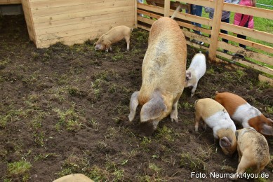 Eselrennen-Fruehlingsfest-2022-0185