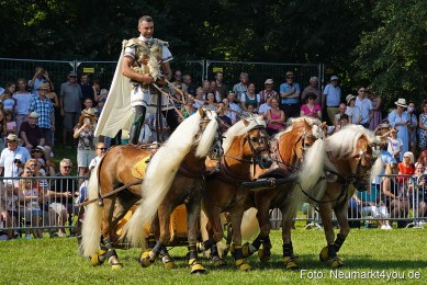 Pferde-und-Fohlenschau-JURA-Volksfest-2023-0159