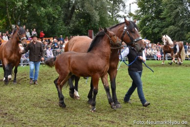 JURA-Volksfest-Pferdeshow-190819-0281