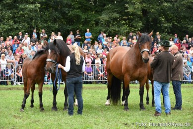 JURA-Volksfest-Pferdeshow-190819-0284