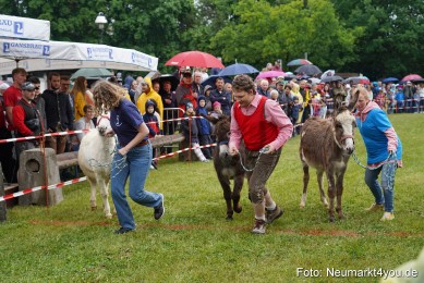 Eselrennen-Fruehlingsfest-2022-0071