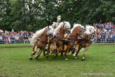 JURA-Volksfest-Pferdeshow-190819-0374