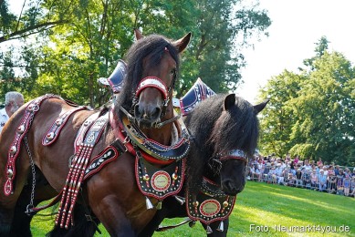 Pferde-und-Fohlenschau-JURA-Volksfest-2023-0069
