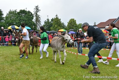 Eselrennen-Fruehlingsfest-2022-0064