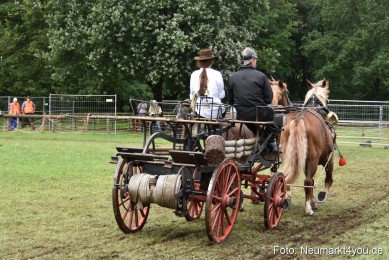 JURA-Volksfest-Pferdeshow-190819-0350