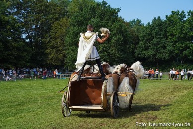 Pferde-und-Fohlenschau-JURA-Volksfest-2023-0158