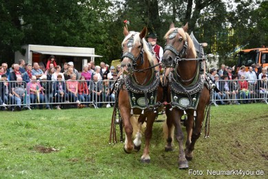 JURA-Volksfest-Pferdeshow-190819-0355