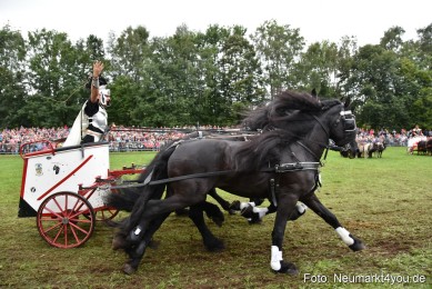 JURA-Volksfest-Pferdeshow-190819-0185