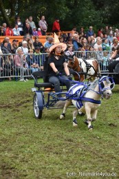 JURA-Volksfest-Pferdeshow-190819-0300
