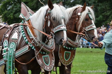 JURA-Volksfest-Pferdeshow-190819-0120