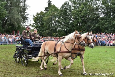 JURA-Volksfest-Pferdeshow-190819-0210