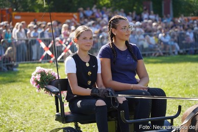Pferde-und-Fohlenschau-2025-0121