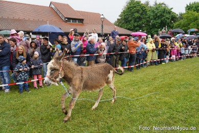 Eselrennen-Fruehlingsfest-2022-0100
