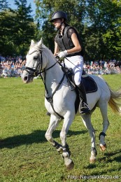Pferde-und-Fohlenschau-2025-0068