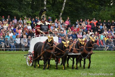 JURA-Volksfest-Pferdeshow-190819-0160