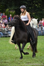 JURA-Volksfest-Pferdeshow-190819-0250