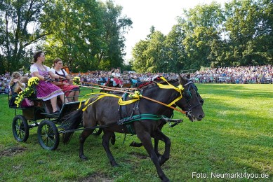 Pferde-und-Fohlenschau-JURA-Volksfest-2023-0041