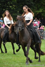 JURA-Volksfest-Pferdeshow-190819-0253