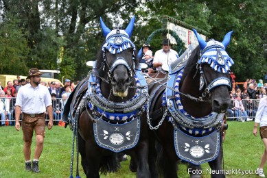 JURA-Volksfest-Pferdeshow-190819-0067