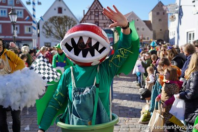 Faschingszug-Berching-2025-0411