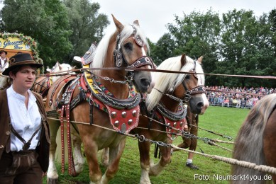 JURA-Volksfest-Pferdeshow-190819-0076