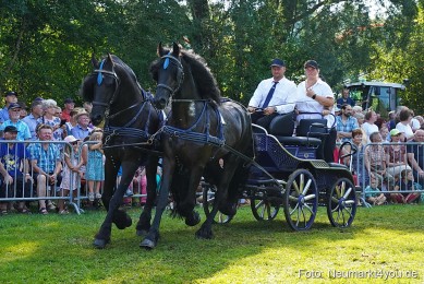 Pferde-und-Fohlenschau-JURA-Volksfest-2023-0138