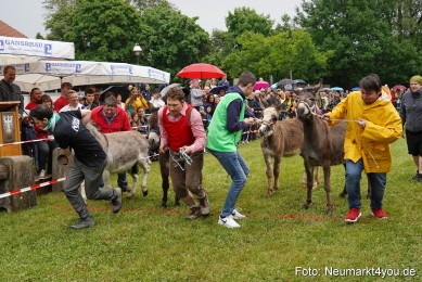 Eselrennen-Fruehlingsfest-2022-0136