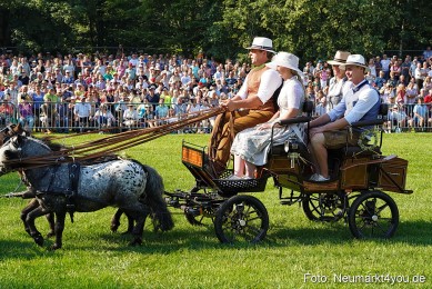 Pferde-und-Fohlenschau-JURA-Volksfest-2023-0049