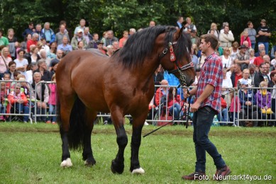 JURA-Volksfest-Pferdeshow-190819-0282