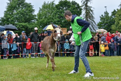Eselrennen-Fruehlingsfest-2022-0141