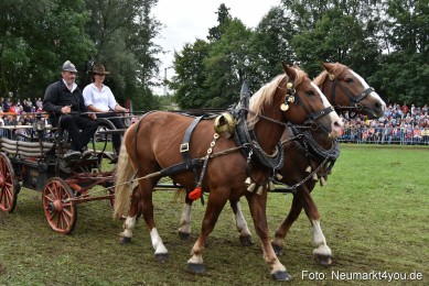 JURA-Volksfest-Pferdeshow-190819-0365