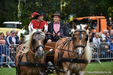 JURA-Volksfest-Pferdeshow-190819-0223