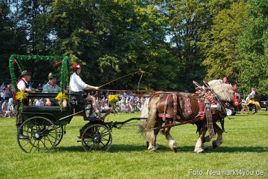 Pferde-und-Fohlenschau-JURA-Volksfest-2023-0130