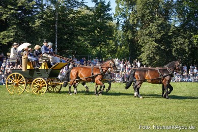 Pferde-und-Fohlenschau-2025-0058