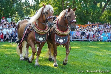 Pferde-und-Fohlenschau-JURA-Volksfest-2023-0070