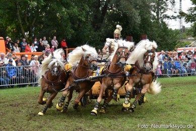 JURA-Volksfest-Pferdeshow-190819-0379