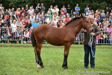 JURA-Volksfest-Pferdeshow-190819-0288