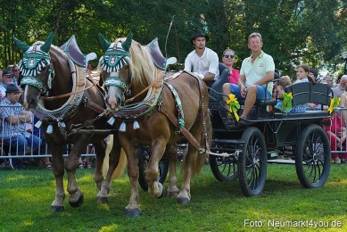 Pferde-und-Fohlenschau-JURA-Volksfest-2023-0116