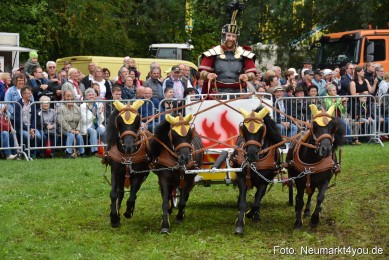 JURA-Volksfest-Pferdeshow-190819-0156