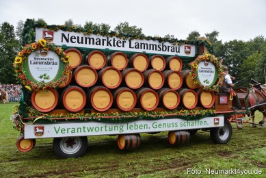 JURA-Volksfest-Pferdeshow-190819-0101