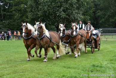 JURA-Volksfest-Pferdeshow-190819-0006