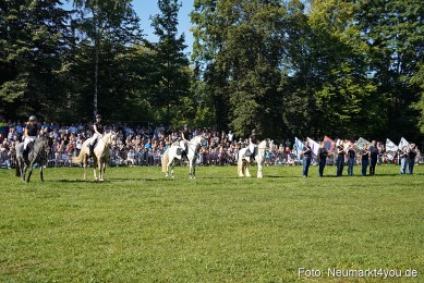 Pferde-und-Fohlenschau-2025-0064
