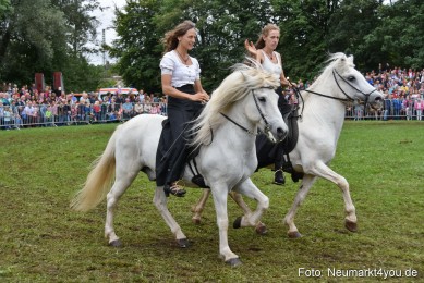 JURA-Volksfest-Pferdeshow-190819-0278