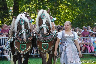 Pferde-und-Fohlenschau-JURA-Volksfest-2023-0074